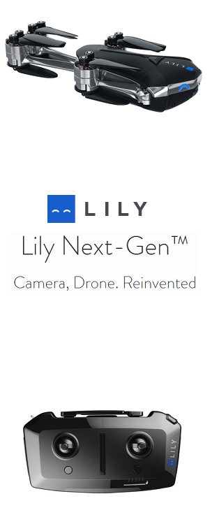 Lily the new life of a closed project the Mota Group.